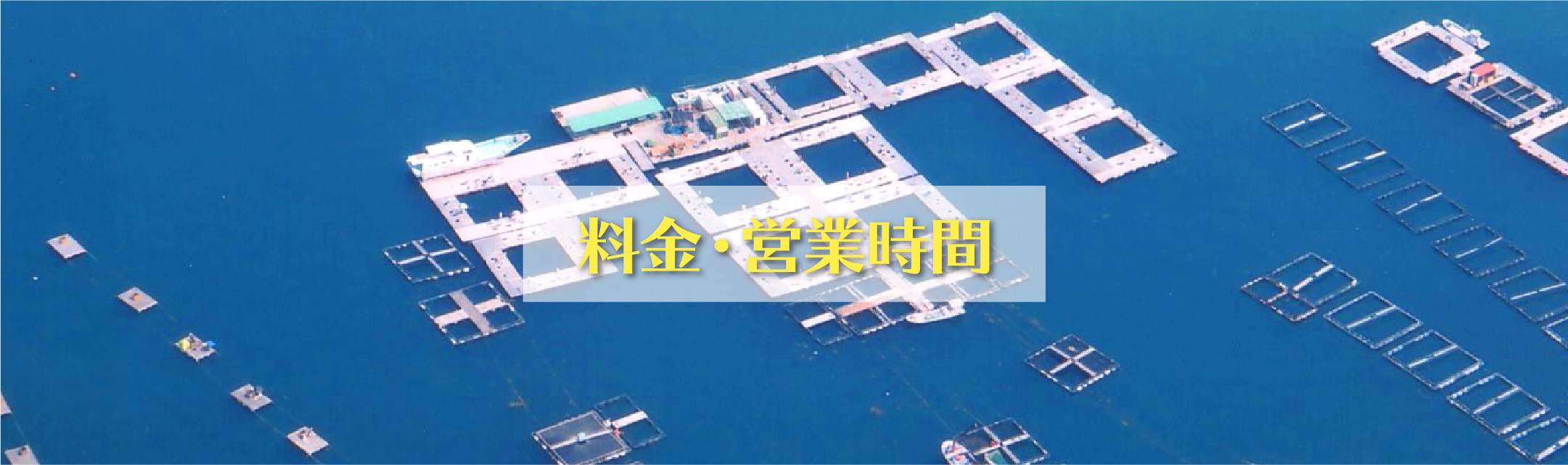 料金 営業時間 公式 釣堀紀州 和歌山 有田郡広川町の海上釣堀 釣り堀 紀州 料金 営業時間 公式 釣堀紀州 和歌山 有田郡広川町の海上釣堀 釣り堀 紀州