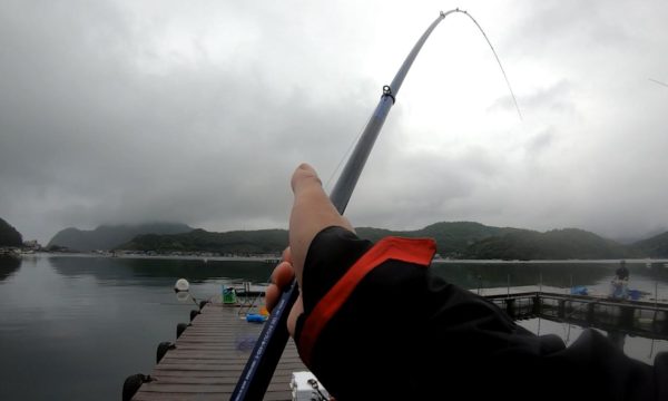 海上釣り堀を脈釣りで攻略しよう 釣果を上げるコツもご紹介 公式 釣堀紀州 和歌山の海上釣堀 釣り堀 紀州