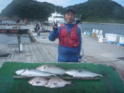 釣堀紀州 魚の入荷情報 釣り堀 釣堀 紀州 大ぶり クエ マハタ 公式 釣堀紀州 和歌山 有田郡広川町の海上釣堀 釣り堀 紀州