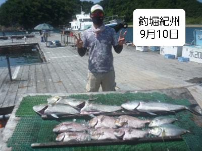 9月10日の釣果 公式 釣堀紀州 和歌山 有田郡広川町の海上釣堀 釣り堀 紀州