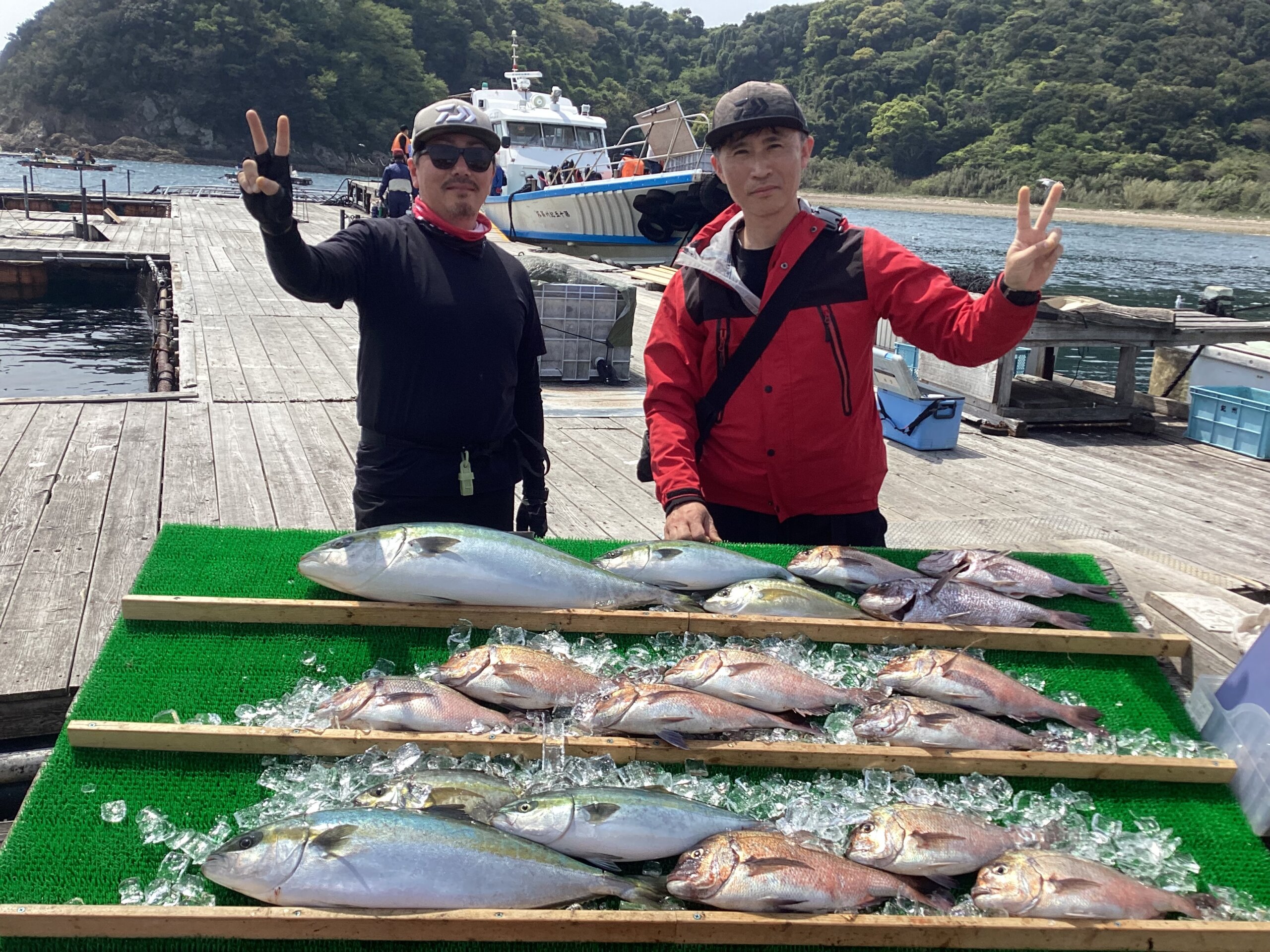 ※モカ　片面仕上げ　アメマス雄の剥製 アメマス80cm | 魚類剥製渡部
